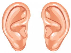 Ear Download PNG