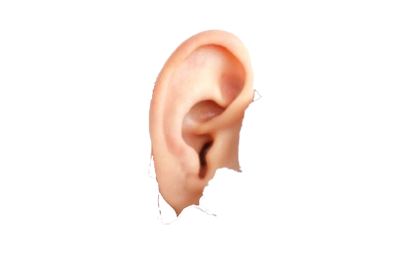 Ear Free Download PNG