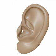 Ear PNG Clipart