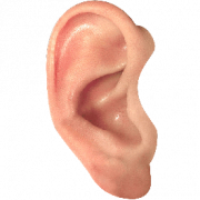 Ear PNG Picture