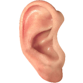 Ore Ear Png Picture