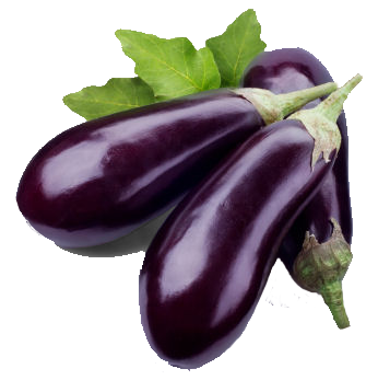 Eggplant Free Download PNG