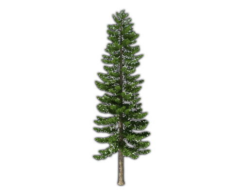 Fir-Tree PNG File