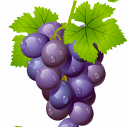 Grape libreng pag -download png