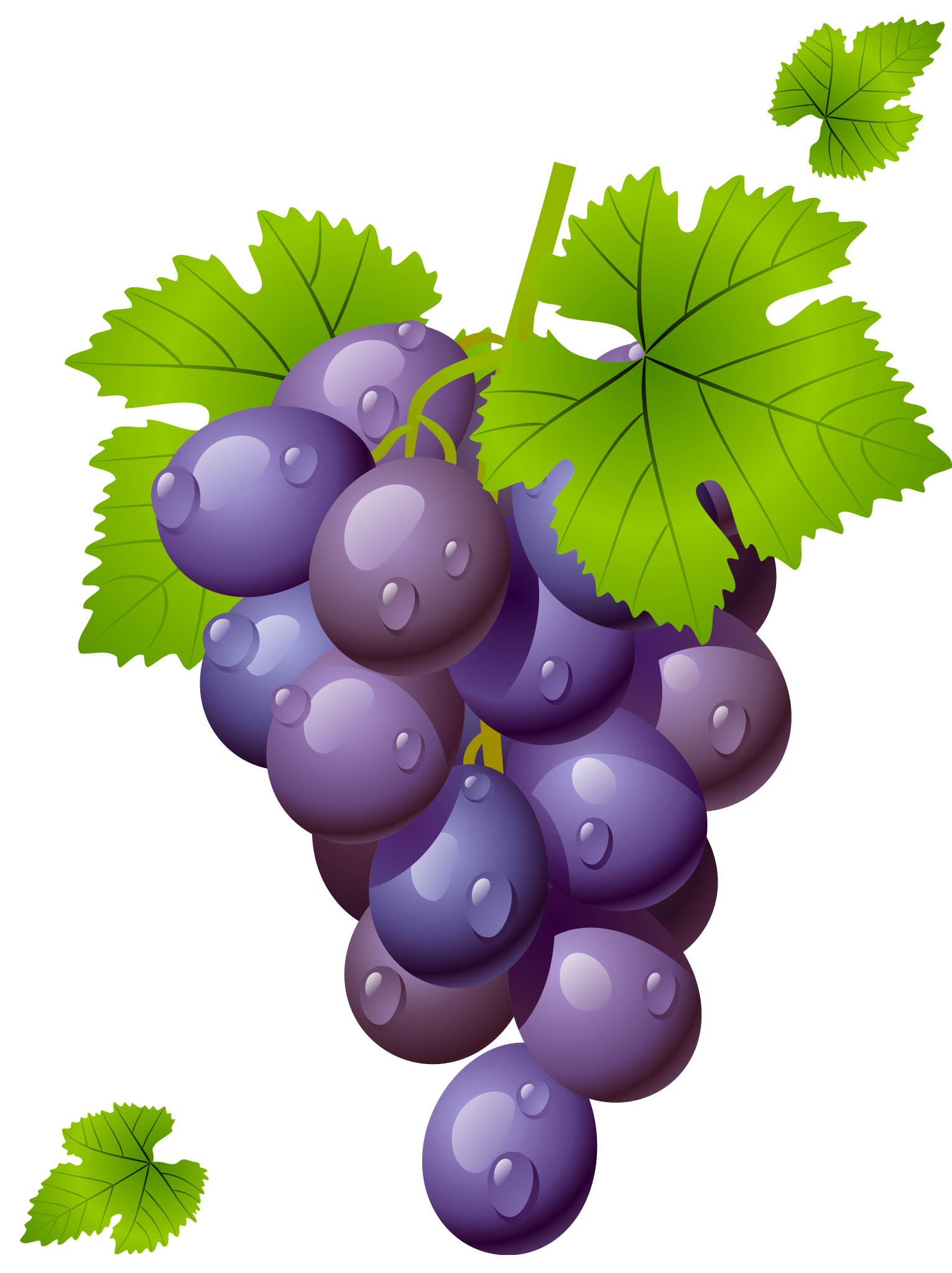 Grape Free Download PNG