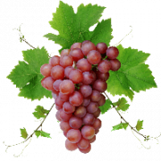 Gambar PNG anggur
