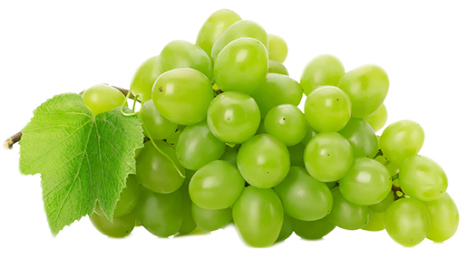 Grape PNG Picture