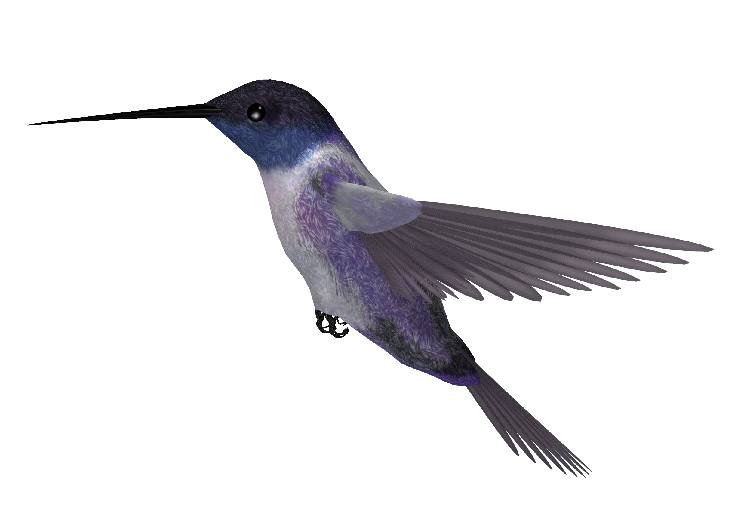 Колибри PNG Picture