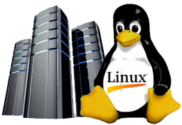 Linux Hosting PNG File