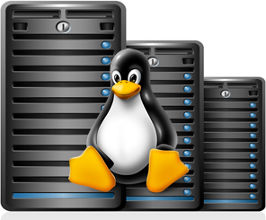 Linux Hosting PNG Pic