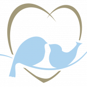 Imagen de PNG gratis de Pájaros del amor