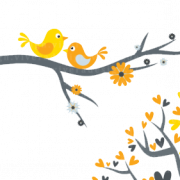 Love Birds Png Image