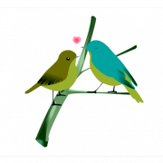 Liebesvögel transparent