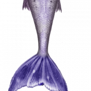 Mermaid Tail Free Download PNG