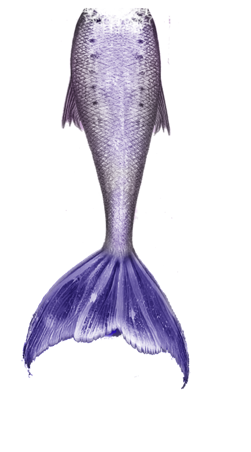 Mermaid Tail Free Download PNG