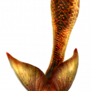 Mermaid Tail PNG HD