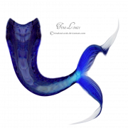 Mermaid Tail PNG Image