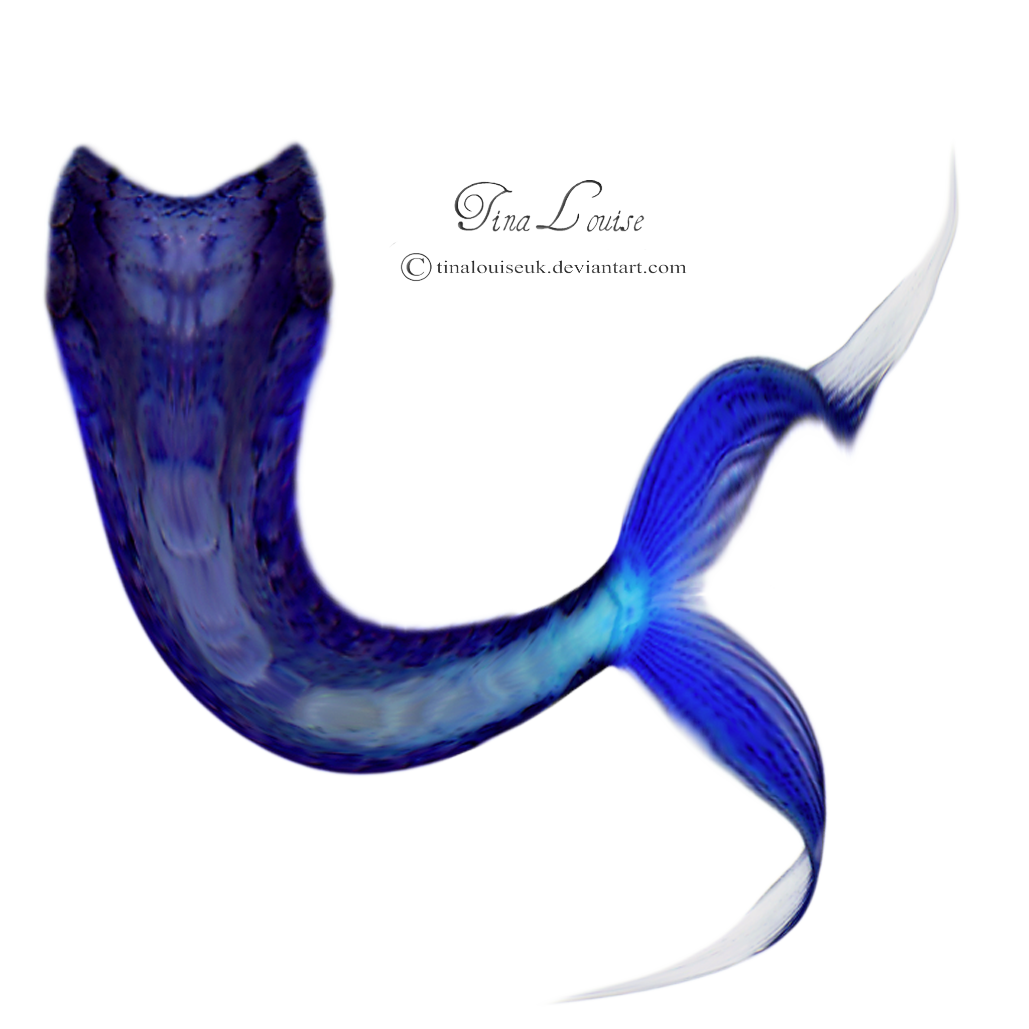 Mermaid Tail Png Immagine