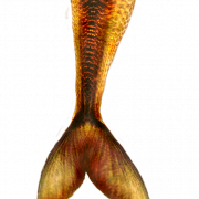Meerjungfrau Schwanz transparent