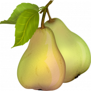 Pear Free Download PNG
