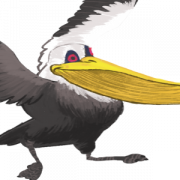 Pelican PNG HD