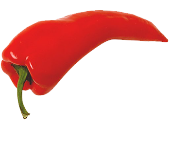 Pepper PNG Picture