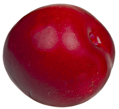 Plum PNG Picture