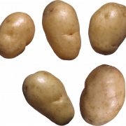Potato Free PNG Image