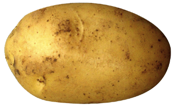 Clipart png di patate