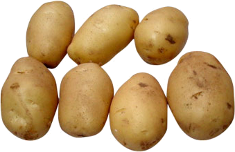 Potato PNG HD