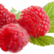 File Raspberry Png