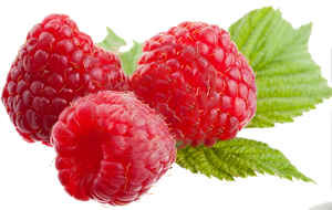 File Raspberry PNG