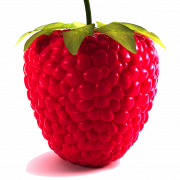 Raspberry PNG larawan