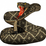 Rattlesnake PNG File