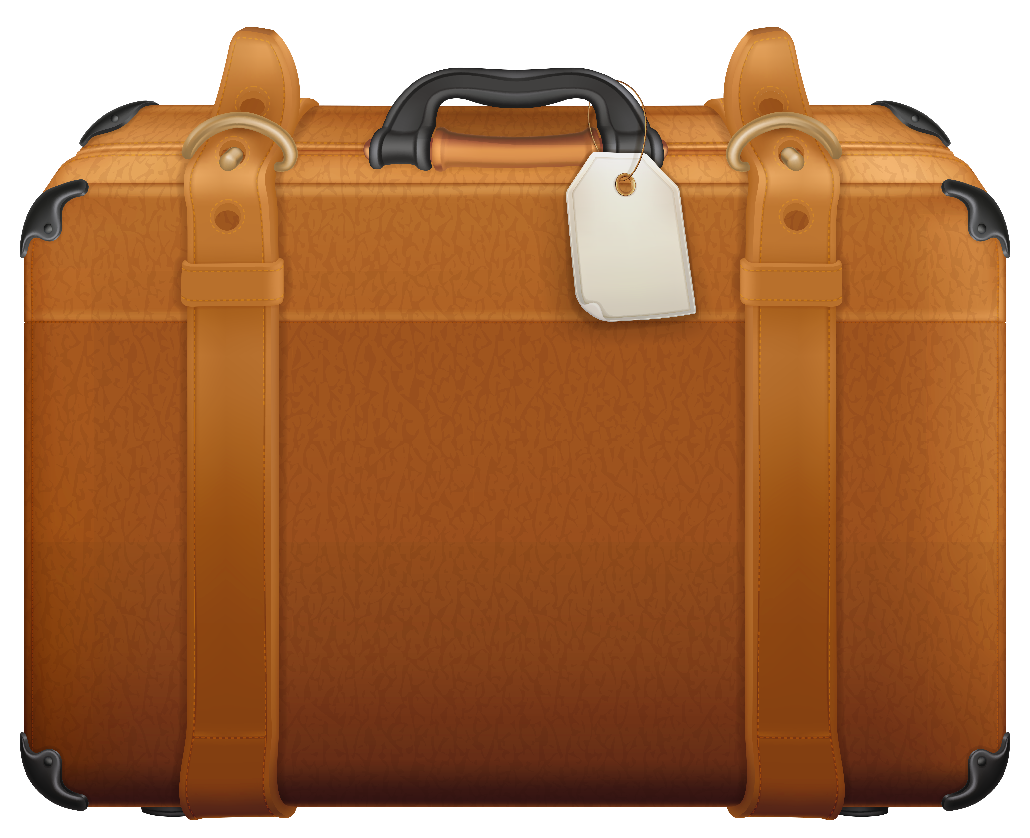 Suitcase PNG Pic