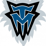Timberwolves Logo PNG Bild