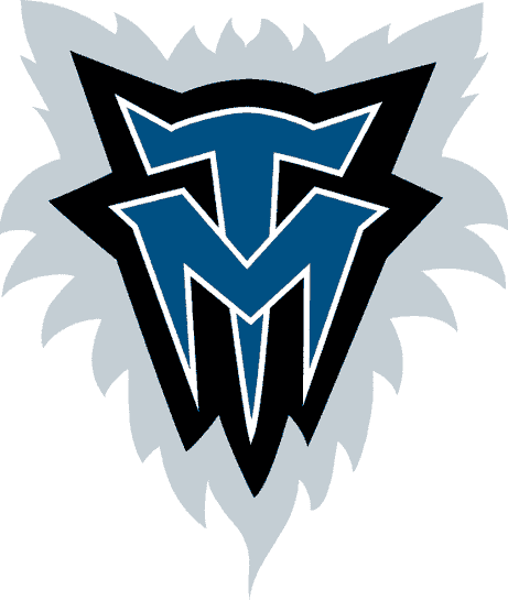 Imagem PNG de logotipo de Timberwolves