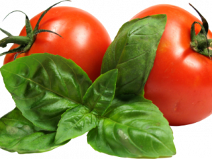 Tomato Download PNG