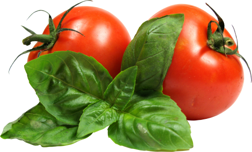 Tomato Download PNG