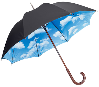 Umbrella PNG Picture