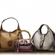 Women Bag PNG Picture