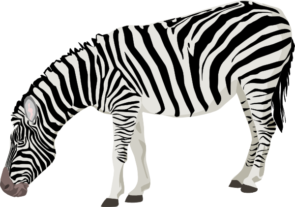 Zebra تحميل مجاني بي إن جي