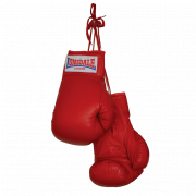 Boxing Gloves Download PNG