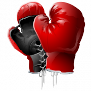 Boxing Gloves PNG Clipart