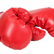 Boxing Gloves PNG File