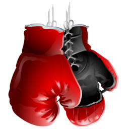Boxing Gloves PNG Image