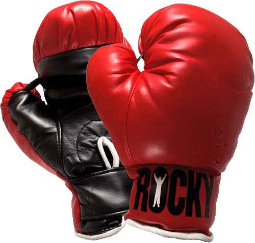 Boxing Gloves PNG