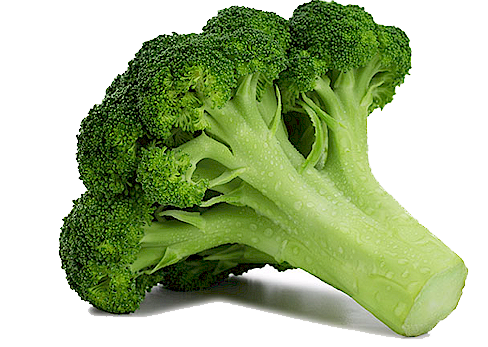 Download gratuito di broccoli png