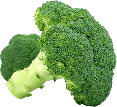 Immagine PNG gratuita di broccoli