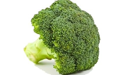 Broccoli png clipart